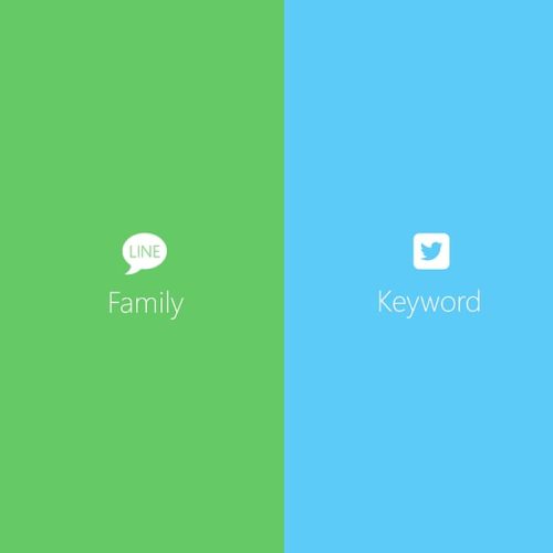 Social Media Platform Choice