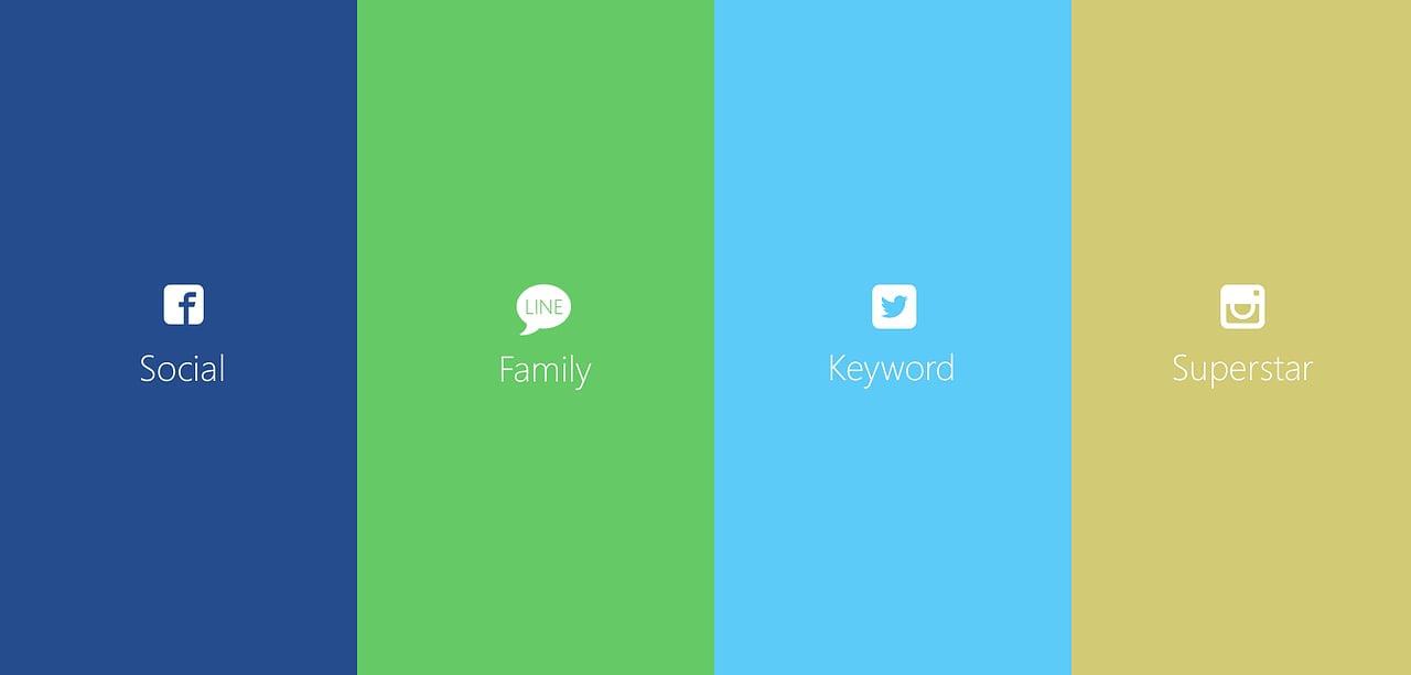 Social Media Platform Choice